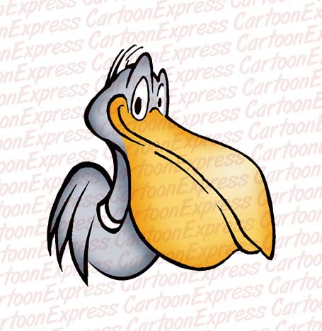 pelican